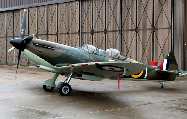 The airfield, British, Spitfire Tr.9, Training aircraft