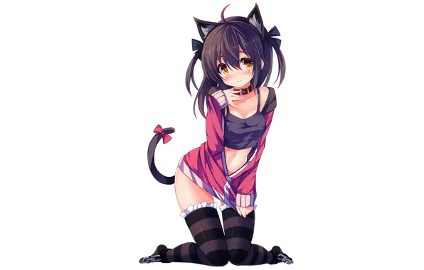 Girl, sexy, cleavage, thighhighs, long hair, legs, boobs, animal ears
