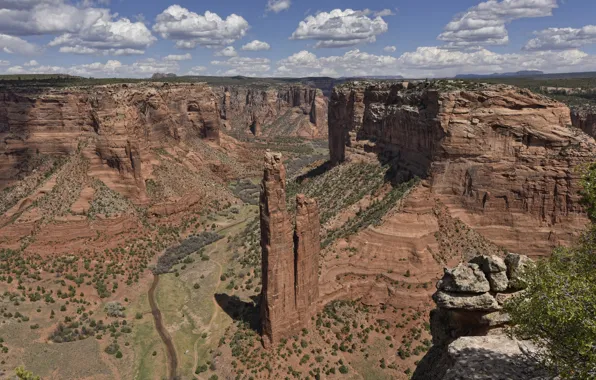 Picture rocks, canyon, AZ, USA