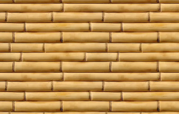 Picture yellow, pattern, bamboo