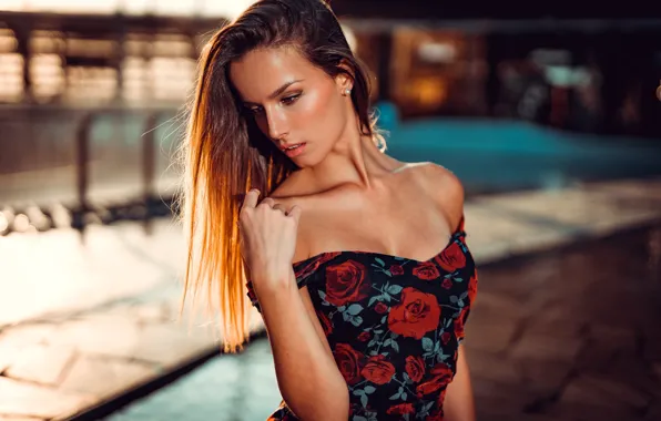 Picture pose, model, portrait, makeup, dress, hairstyle, brown hair, beauty