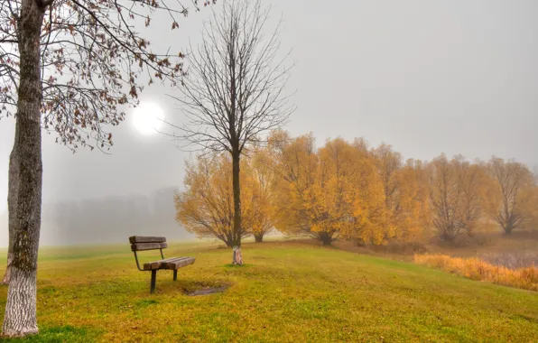 Picture autumn, leaves, trees, fog, Park, bench