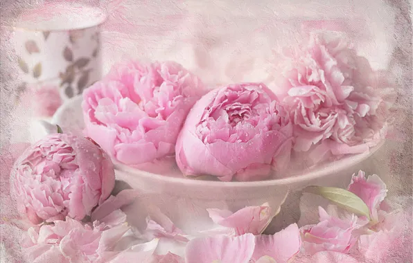 Picture pink, texture, peonies