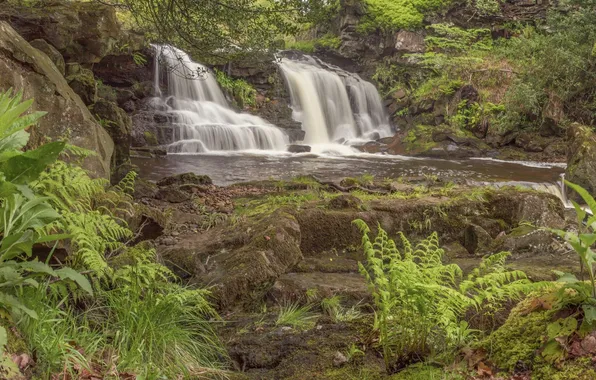 England, waterfall, cascade, England, North York Moors, Water Ark Foss
