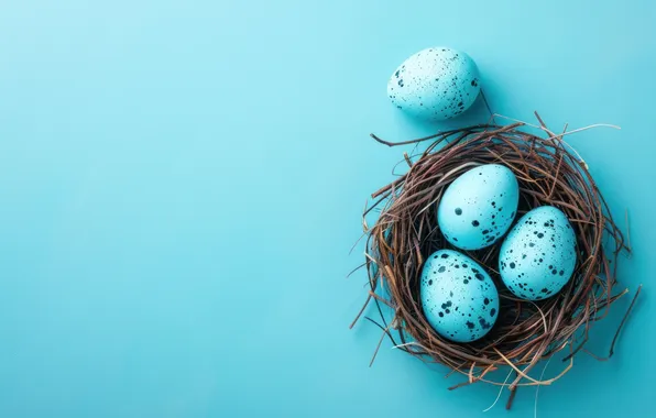 Holiday, eggs, spring, blue, Easter, socket, blue background, painted