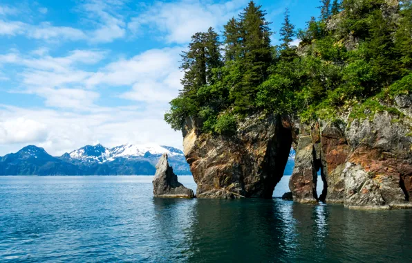 Trees, mountains, stones, rocks, shore, Alaska, USA, fjords