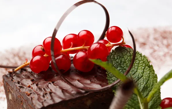 Berries, cake, cake, red, mint, currants, chocolate, bokeh