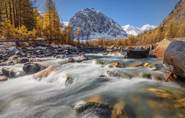 Autumn, trees, mountains, river, stones, Russia, Siberia, The Republic Of Altai