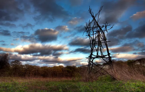 Field, the sky, landscape, ritual, structure