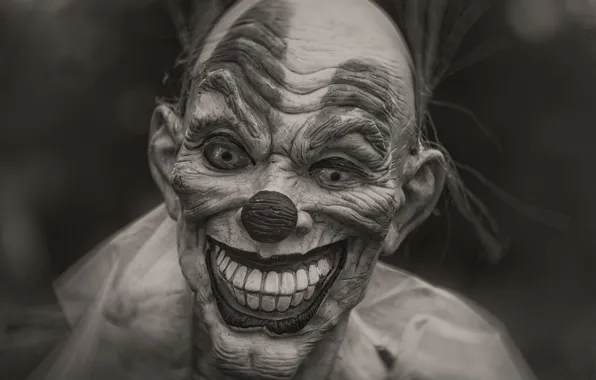 Picture teeth, clown, mask, Halloween Clown