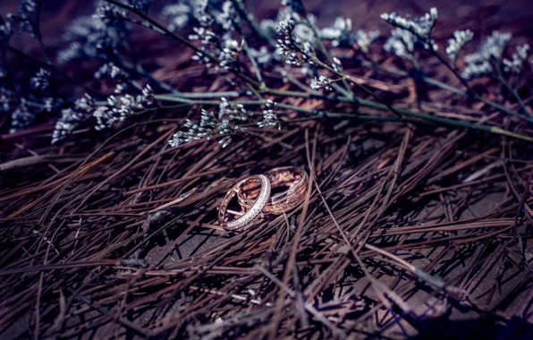 Branches, ring, wedding