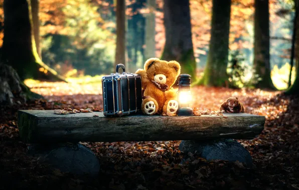 Picture toy, lamp, bear, suitcase