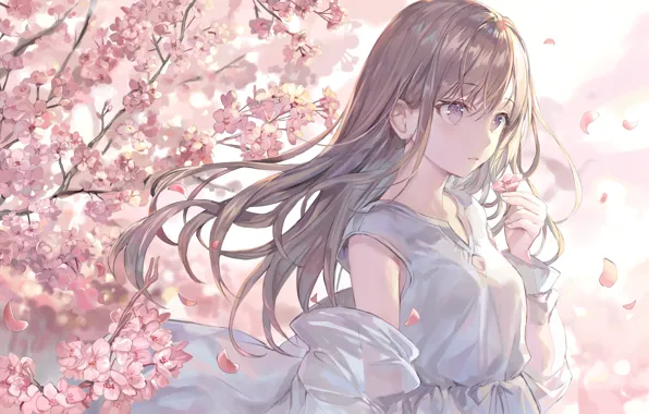 Picture girl, flowers, tenderness, petals, Sakura, momoko (momopoco)