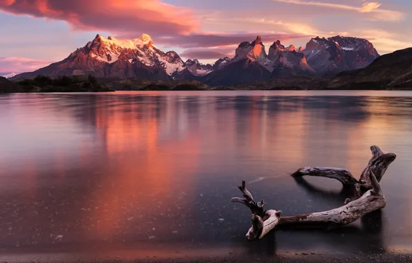 Reflection, landscape, sunset, mountains, the evening, snag, pond, Andes