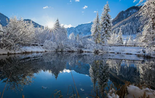 Winter, the sky, the sun, light, snow, trees, nature