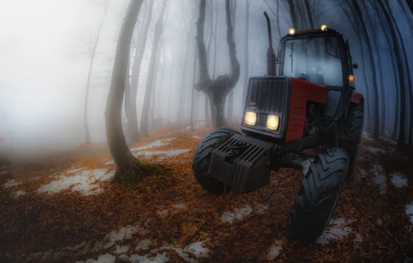 Nature, fog, tractor