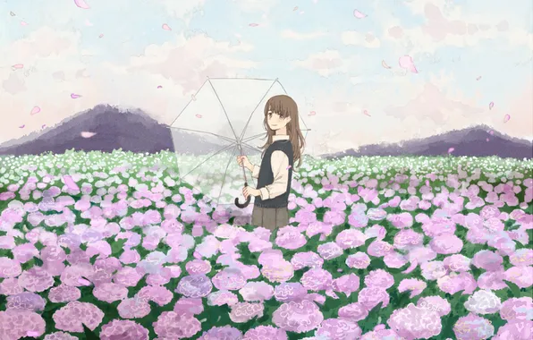 Field, girl, flowers, umbrella, umbrella, petals, art, hydrangea