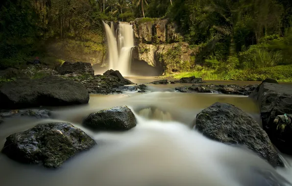 River, stones, rocks, waterfall, jungle