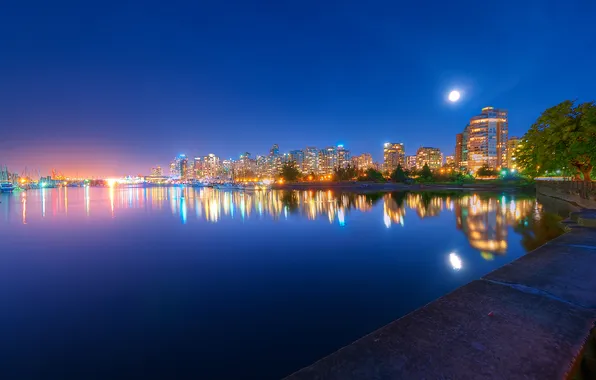 Picture sea, night, the city, lights, the moon