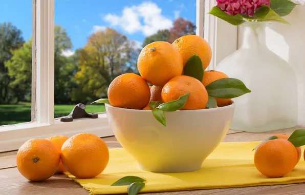Picture window, bowl, leaves, tangerines