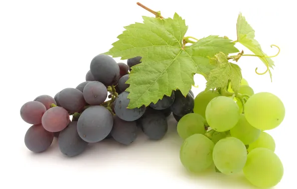Picture white, leaves, black, grapes