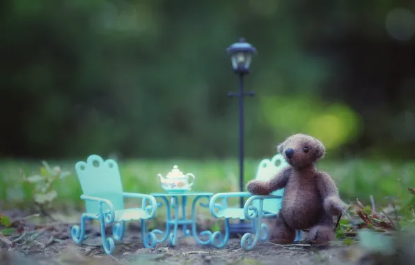 Grass, nature, childhood, background, toy, chair, kettle, bear