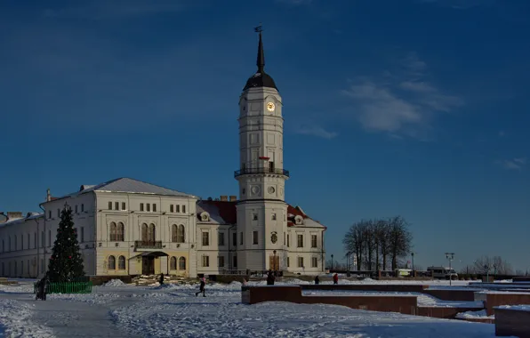 Winter, tree, architecture, town hall