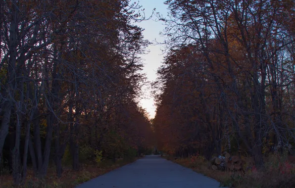 Picture autumn, the sky, trees, the city, the evening, October, Russia, twilight