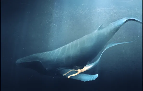 Picture sea, mermaid, kit