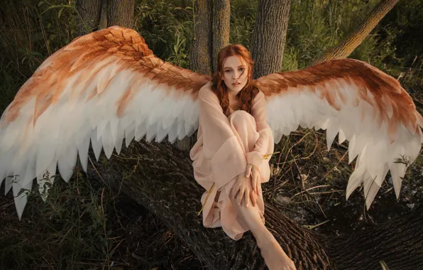 LOOK, WINGS, ANGEL, REDHEAD