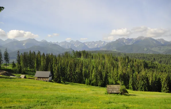 Forest, grass, trees, mountains, glade, Poland, houses, Tatry