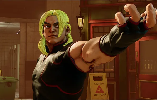 Street fighter, fighting, ken masters