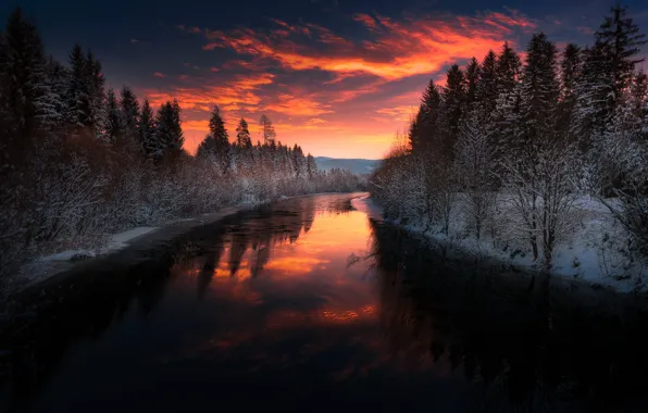 Picture winter, forest, clouds, snow, sunset, the evening, twilight, pond