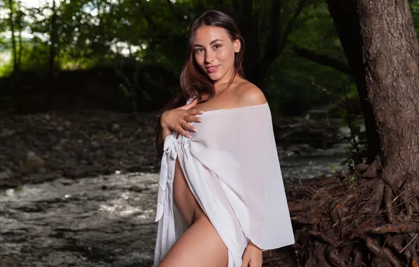 Forest, long hair, trees, brunette, gorgeous, stream, posing, beautiful face