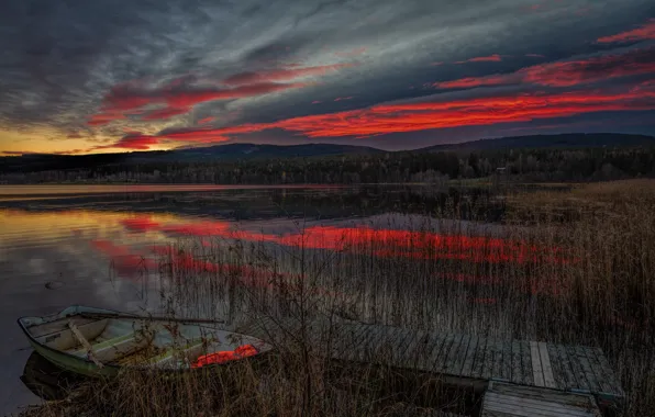 Forest, the sky, grass, clouds, sunset, clouds, lake, reflection