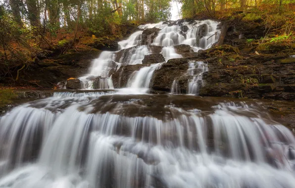 Picture autumn, forest, stones, vegetation, waterfall, stream, cascade