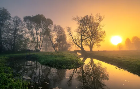 The sun, trees, sunset, fog, pond, reflection, dawn, shore