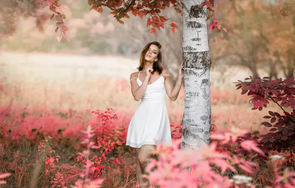 Autumn, girl, tree, dress, Denis Tretyakov