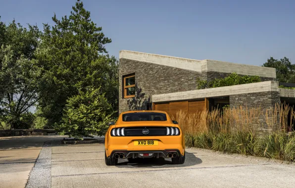 Orange, Ford, Parking, 2018, feed, fastback, Mustang GT 5.0
