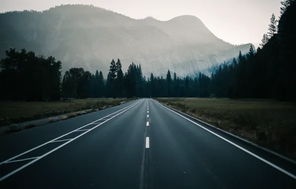 Road, forest, trees, Mountains, national Park