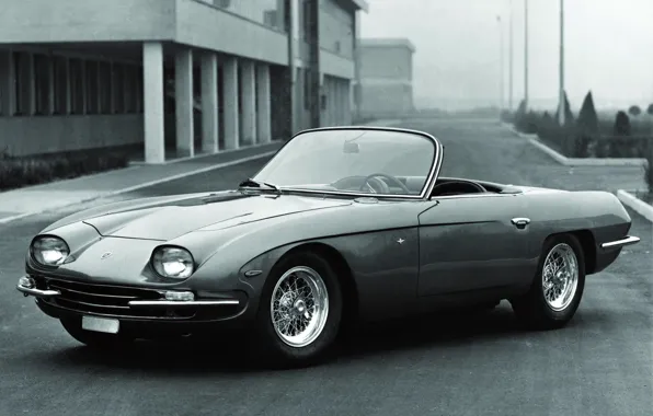 Lamborghini, Spyder, GTS, 350