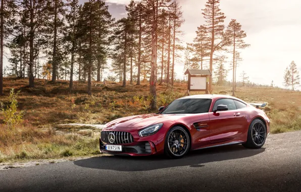 Mercedes-Benz, AMG, GT R, 2019, by Håkon Sataøen