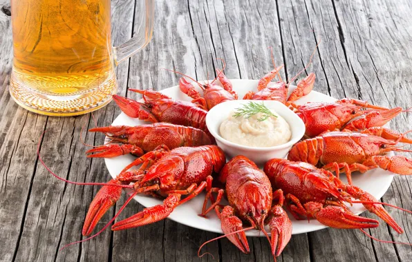 Picture beer, plate, sauce, seafood, cancers