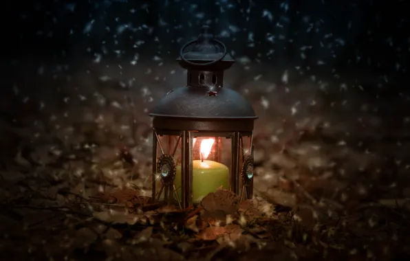 Forest, snow, nature, mood, fire, holiday, lantern, different