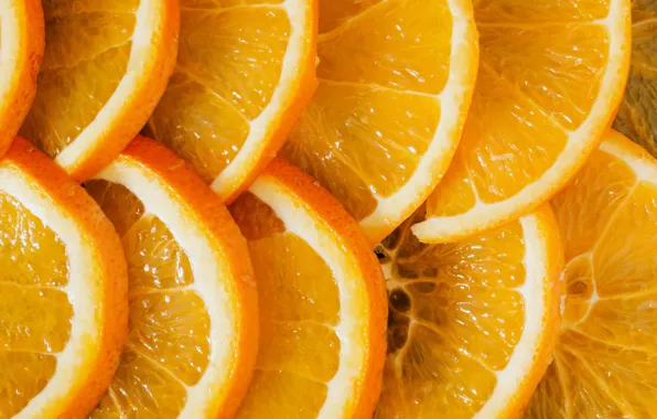 Macro, oranges, circles, citrus, a lot, slices, cutting