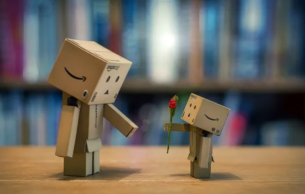 Amazon Box Robot Couple
