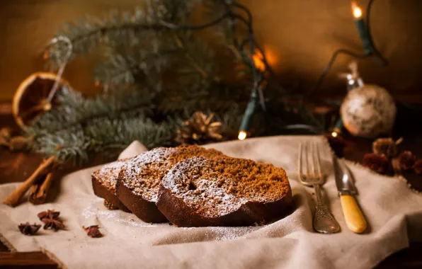 Picture branches, food, spruce, knife, plug, cinnamon, light bulb, napkin