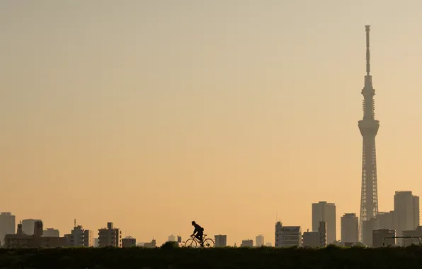 The city, morning, cyclist, Tokyo, Higashiyotsugi 3-Chome