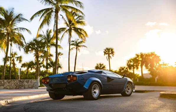 The sun, palm trees, Lamborghini, supercar, Countach, Lamborghini, LP5000 S, Lamborghini Countach LP500 S