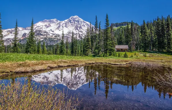 Forest, trees, mountains, lake, reflection, house, Mount Rainier National Park, National Park mount Rainier